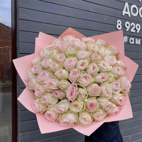 Букет из 51 ароматной пионовидной розы White O’Hara